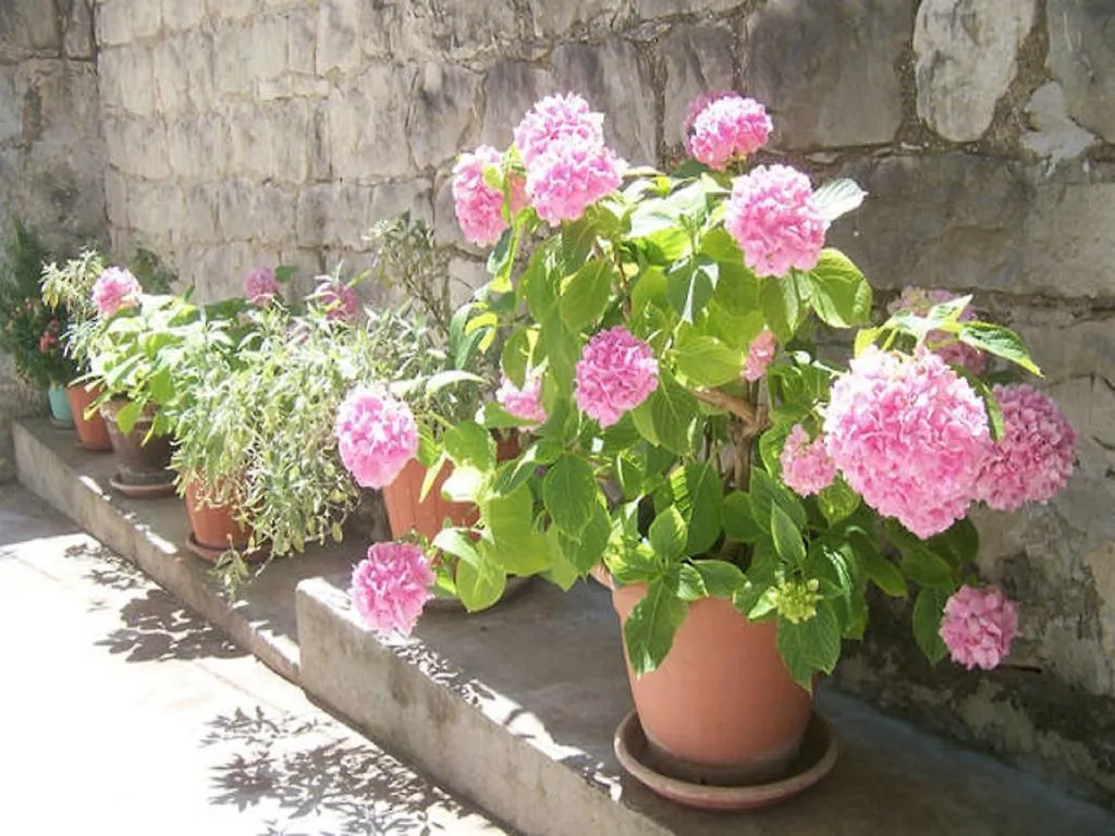 Studio Apartment Josip Split Croatia